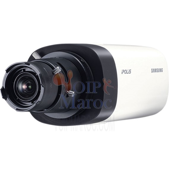 Caméra réseau HD 720p 1.3 MP SNB-5004