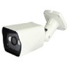 Camera IP 1 Megapixel étanche Weatherproof infrarouge +POE
