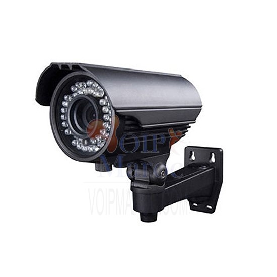 Caméra Extérieur Varifocal Lens Weatherproof IR VTA40ESHE